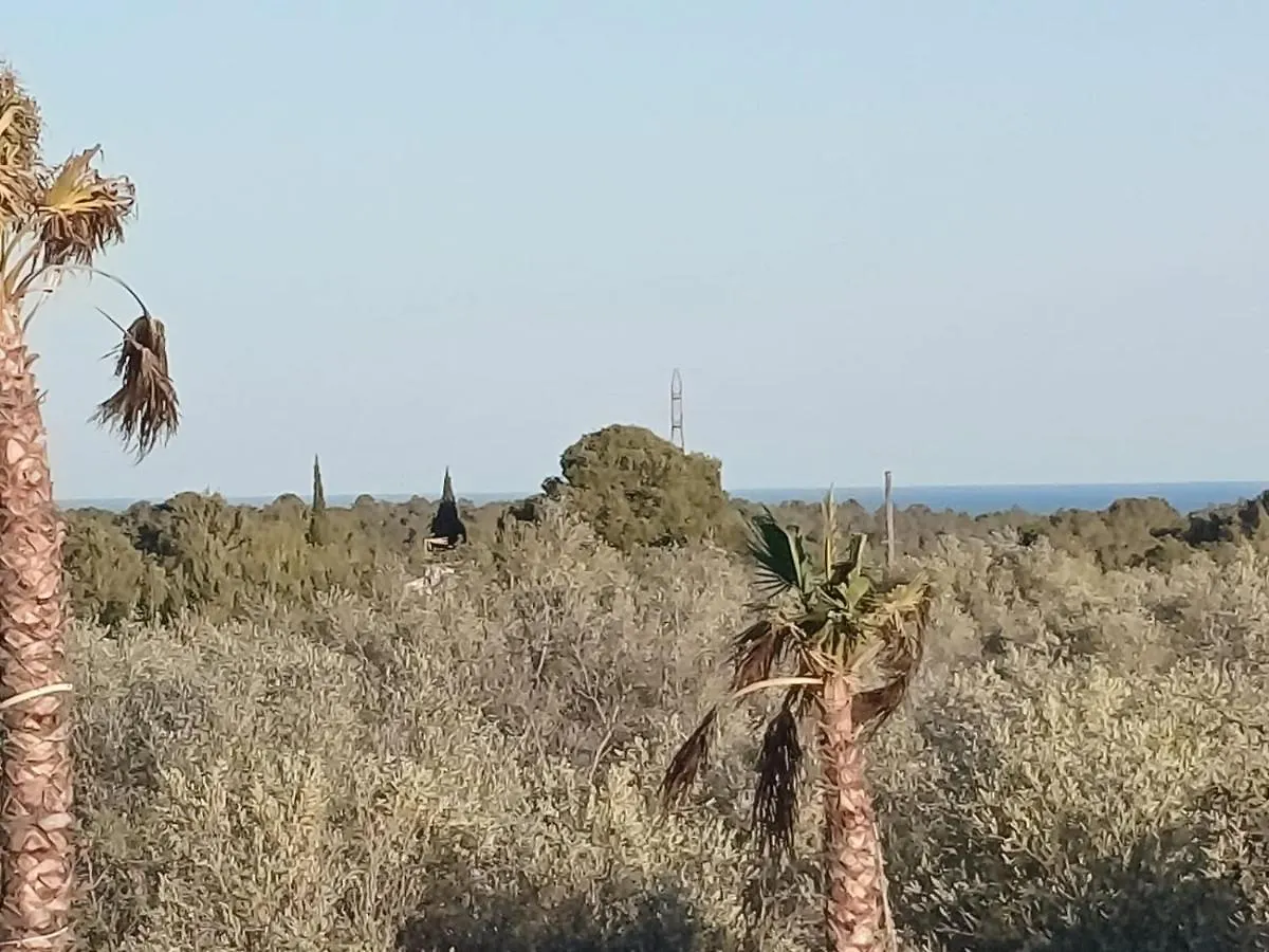 Art Villa Claudia L'Ametlla de Mar Farm stay