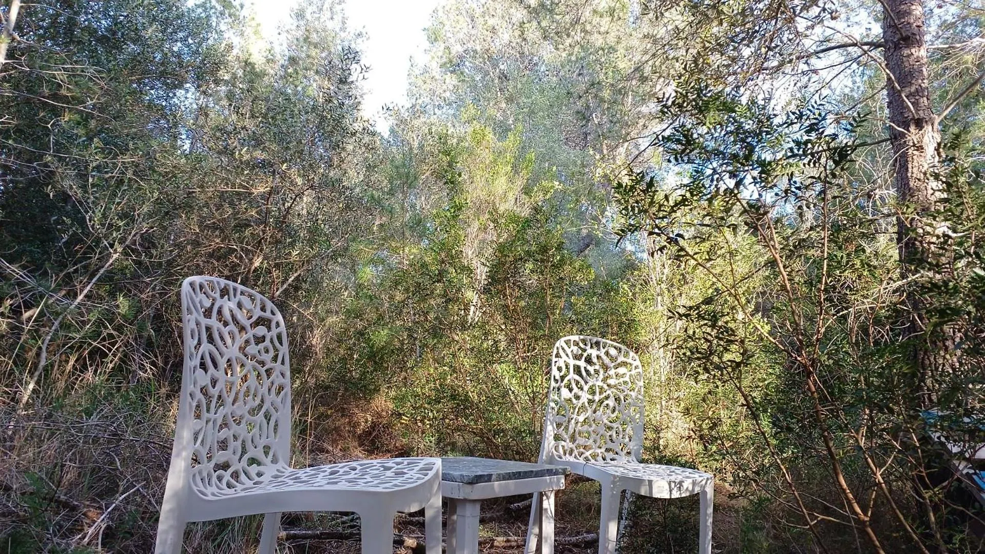 Art Villa Claudia L'Ametlla de Mar Farm stay